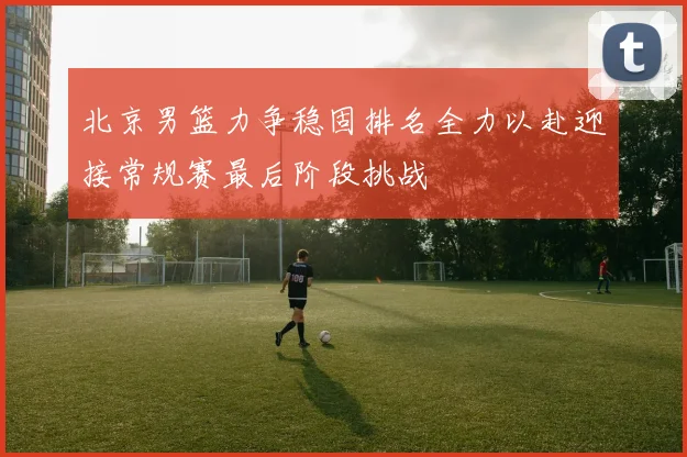 北京男篮力争稳固排名全力以赴迎接常规赛最后阶段挑战
